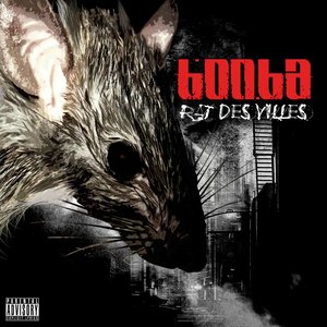 Rat Des Villes