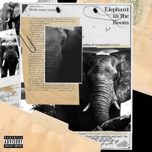 Elephant In The Room
