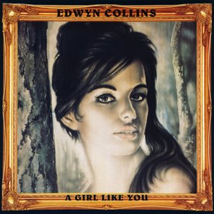 A Girl Like You