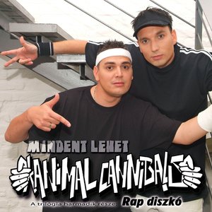 Mindent lehet - A trilógia harmadik része: Rap diszkó