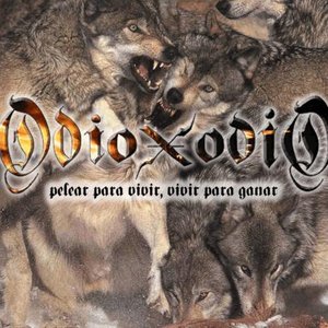 Odio x Odio 的头像