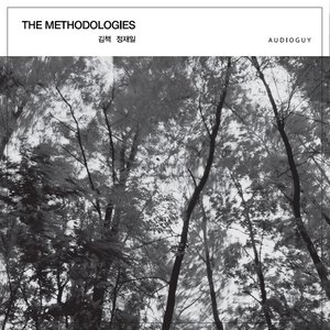 The Methodologies