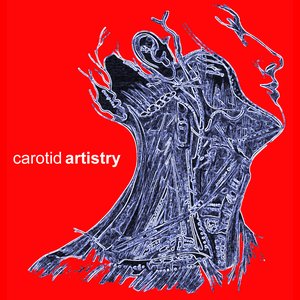 Аватар для carotid artistry