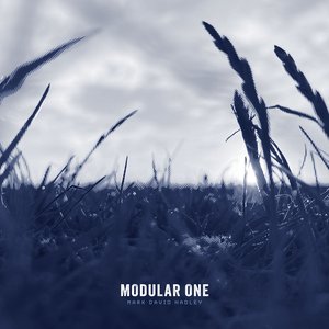 Modular One