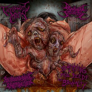 Splitting The Seeds of Brutality