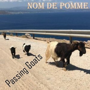 Passing Goats
