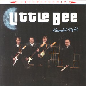Moonlit Night