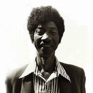 Hound Dog Taylor & the House Rockers のアバター