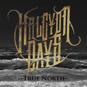 True North