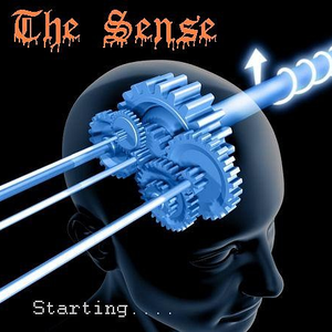 The Sense photo provided by Last.fm