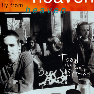 Toad the Wet Sprocket - Fly From Heaven - Zortam Music