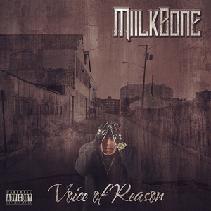 Voice of Reason cover