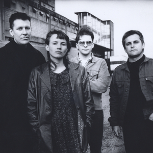 The Bats photo provided by Last.fm