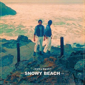 James Wavey Snowy Beach
