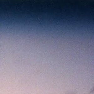 Treetops 的头像