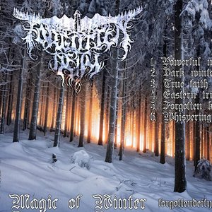 Magic of winter