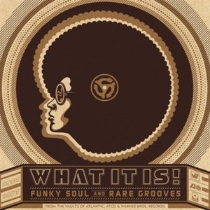 Image for 'What It Is! Funky Soul And Rare Grooves [1967-1977][digital version] [International]'