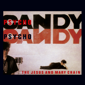 The jesus and mary chain - Complete Peel Sessions - Zortam Music