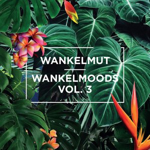 Wankelmut — Wankelmoods Vol. 3
