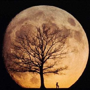 Avatar for Moon Rise