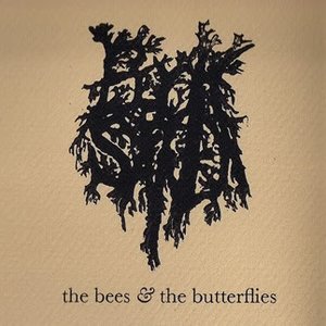 The Bees and the Butterflies