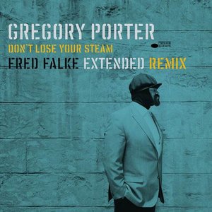 Don't Lose Your Steam (Fred Falke Extended Remix)