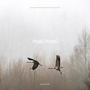 Avatar for Ptaki Polski