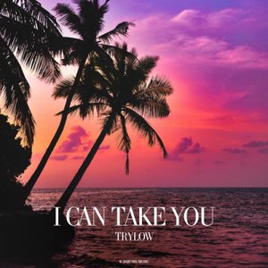 I Can Take You - Single