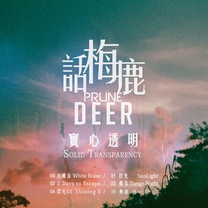 實心透明