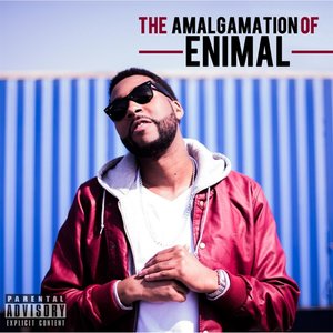 The Amalgamation of Enimal