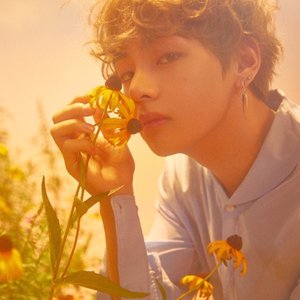 Image pour 'V (BTS)'