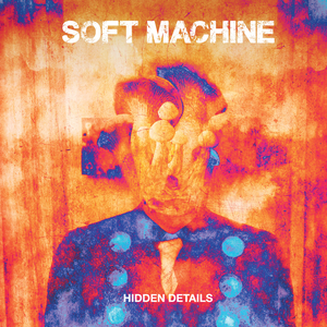 Hidden Details cover