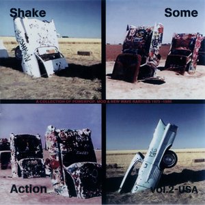 Shake Some Action Vol. 2 - USA (A Collection Of Powerpop, Mod & New Wave Rarities 1975-1986)