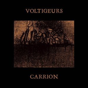 Carrion