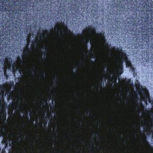 “Death Forest”的封面