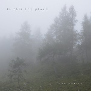 is this the place