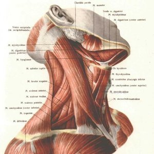 casper's pishogue 的头像