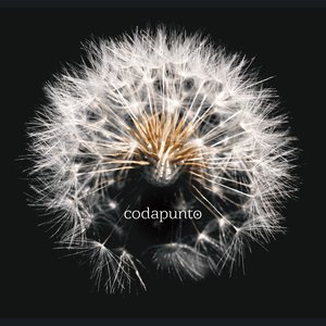 Codapunto