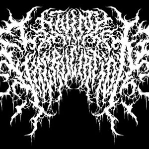 Divine Excruciation 的头像