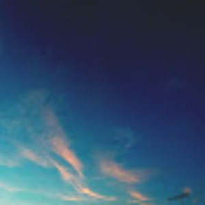 せせせ 的头像