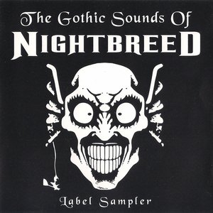 The Gothic Sounds of Nightbreed