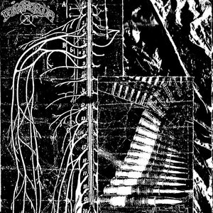 LWSTNDRDS Split