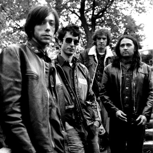 The Sadies photo provided by Last.fm