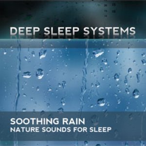 Deep Sleep Systems のアバター