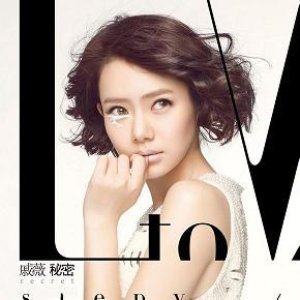 L to V 秘密
