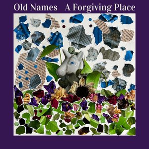 A Forgiving Place