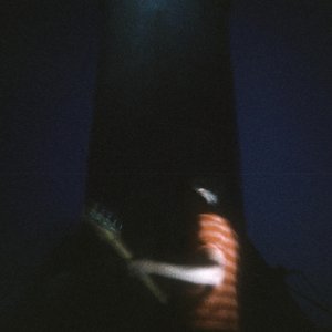 Signalai (live)