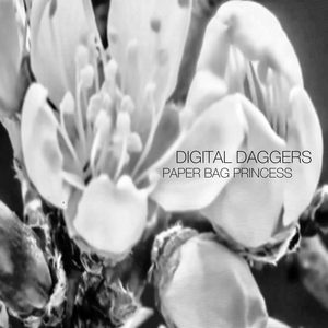 Digital Daggers - Paper Bag Princess - Zortam Music