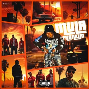 Mula Franklin