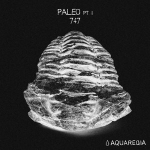 Paleo, Pt. 1